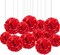 12pc Red Tissue Paper Pompoms-Hanging Paper Pom Poms Paper Flowers Ball for Party Decorative(10&12inch)